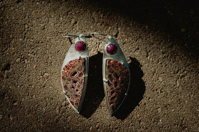 Petrified Wood Earrings